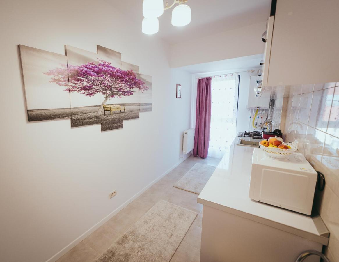 Homey Studio Tulcea Bagian luar foto